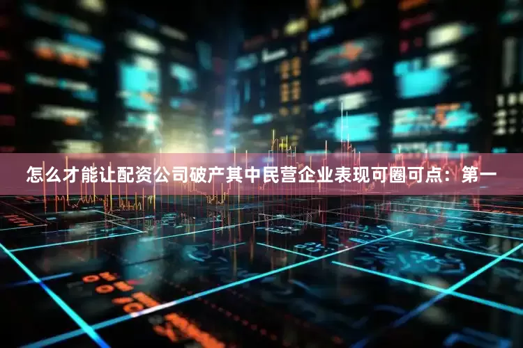 怎么才能让配资公司破产其中民营企业表现可圈可点: 第一