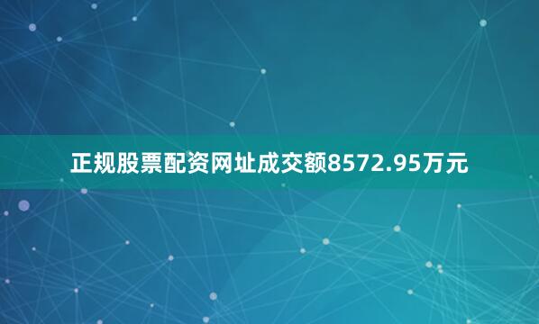 正规股票配资网址成交额8572.95万元