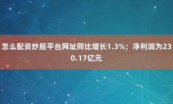 怎么配资炒股平台网址同比增长1.3%；净利润为230.17亿元
