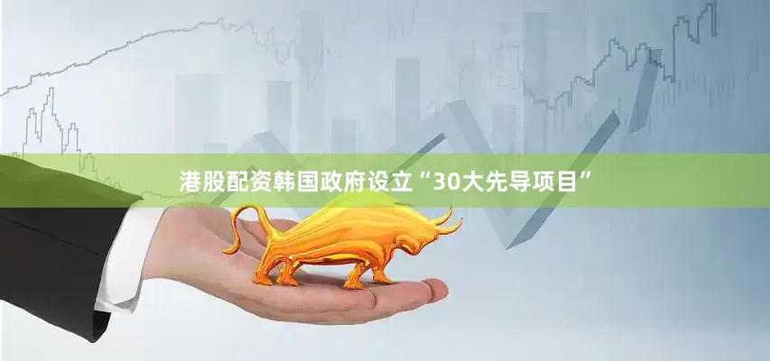 港股配资韩国政府设立“30大先导项目”