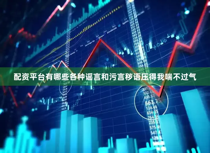 配资平台有哪些各种谣言和污言秽语压得我喘不过气