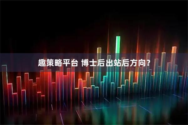 趣策略平台 博士后出站后方向？